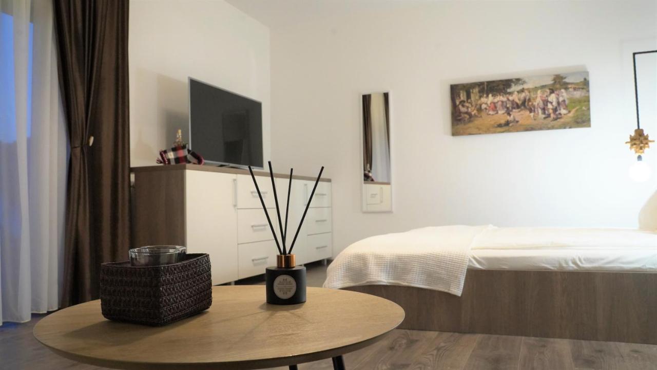 Pensiunea Maramures Guesthouse Viseu de Jos Ngoại thất bức ảnh
