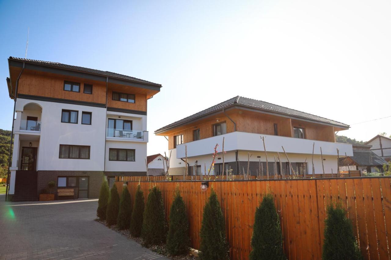 Pensiunea Maramures Guesthouse Viseu de Jos Ngoại thất bức ảnh