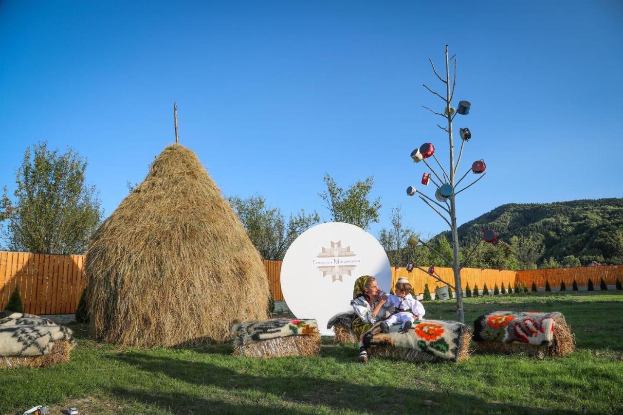 Pensiunea Maramures Guesthouse Viseu de Jos Ngoại thất bức ảnh