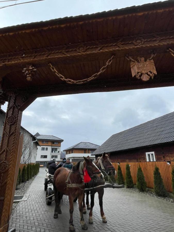 Pensiunea Maramures Guesthouse Viseu de Jos Ngoại thất bức ảnh