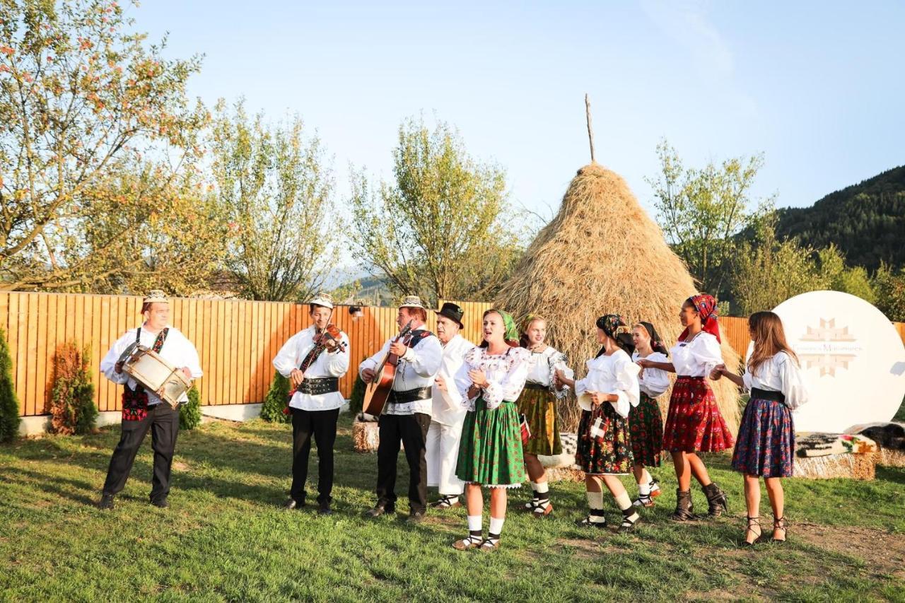 Pensiunea Maramures Guesthouse Viseu de Jos Ngoại thất bức ảnh